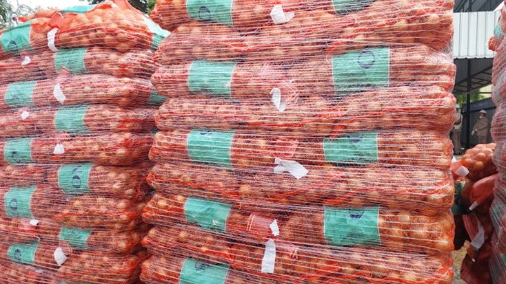 Barantin Pastikan Sayur Impor Aman Dikonsumsi Usai Pemusnahan Bawang Bombay Belanda