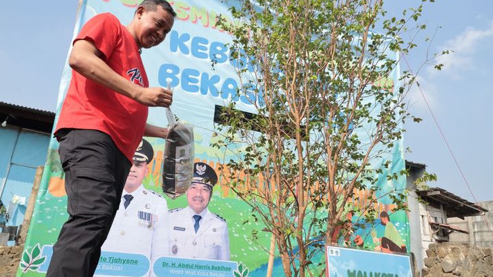 Bibit Pohon Kiriman Warga untuk Tri Ditanam di Kebun Buah