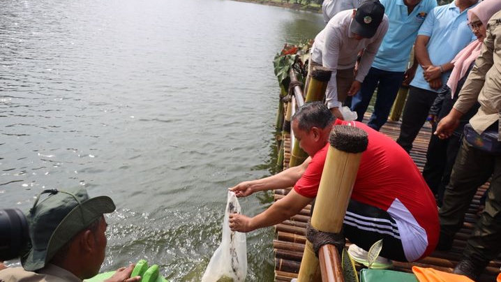 Revitalisasi Danau Duta Harapan: Wisata, Ekonomi, dan Kelestarian Lingkungan