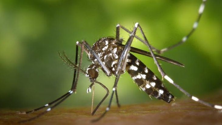 Dinkes Kota Bekasi Catat 172 Kasus Chikungunya, Lansia Paling Berisiko