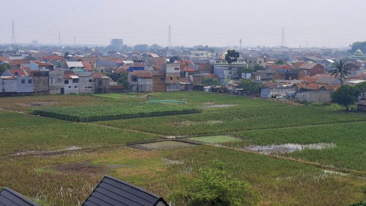 Perda LP2B, Upaya Bekasi Lindungi Lahan Pertanian dan Sejahterakan Petani