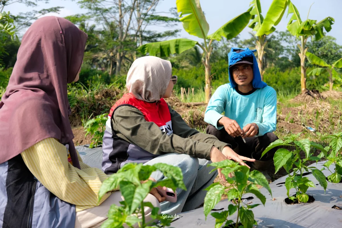 Pertamina dan generasi muda Sukanagara Tasikmalaya mengembangkan pertanian terpadu.