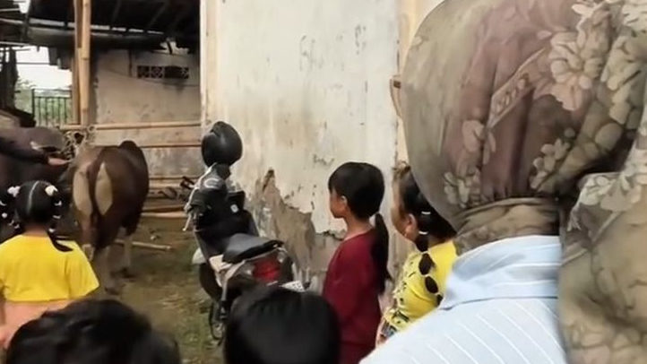 Ade Puspitasari Maknai Iduladha dengan Berkurban untuk Warga