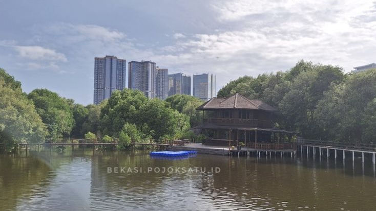 Berwisata di Hutan Mangrove Jakarta, Oase di Antara Hutan Beton