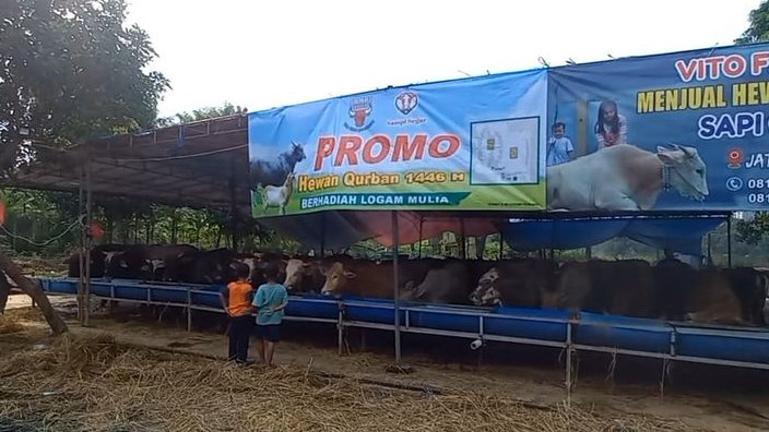 Beli Hewan Kurban Gratis Logam Mulia Tanpa Diundi, di Sini Lokasinya