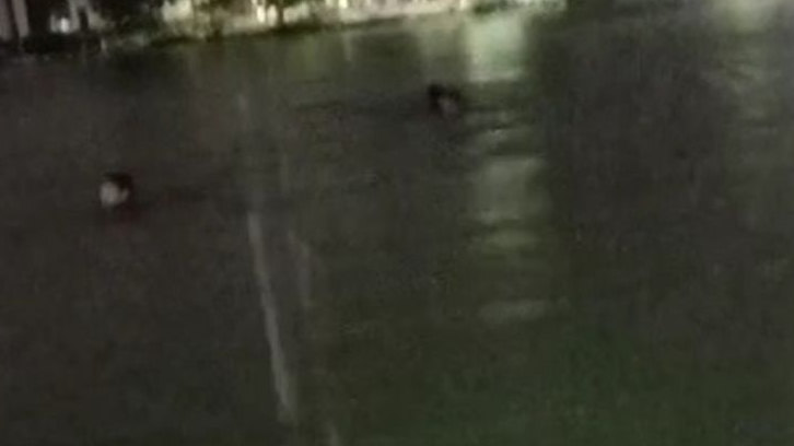 Pria Tenggelam di Danau Taman Tirta Meninggal Dunia, BPBD Kota Bekasi Imbau Masyarakat Behati-Hati