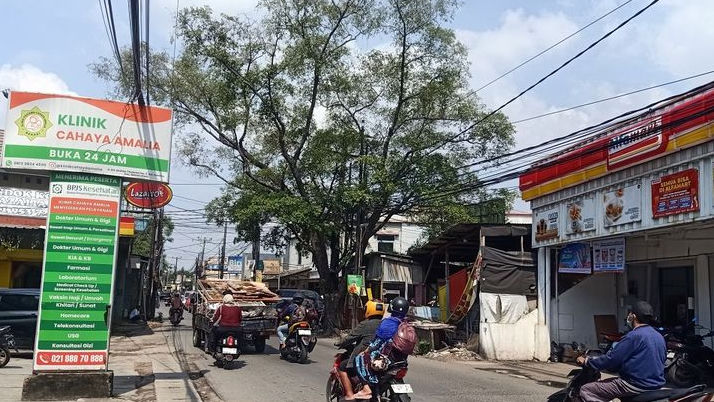 Warga Minta Pemangkasan Pohon Beringin Rimbun di Jalan KH. Muchtar Thabrani Bekasi Utara