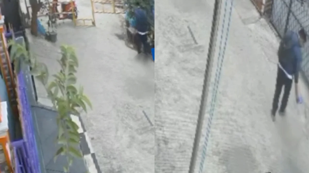 Viral Pria Tendang Anak Kucing Hingga Terkapar di Villa Indah Permai, Satreskrim Polres Metro Bekasi Kota Turun Tangan