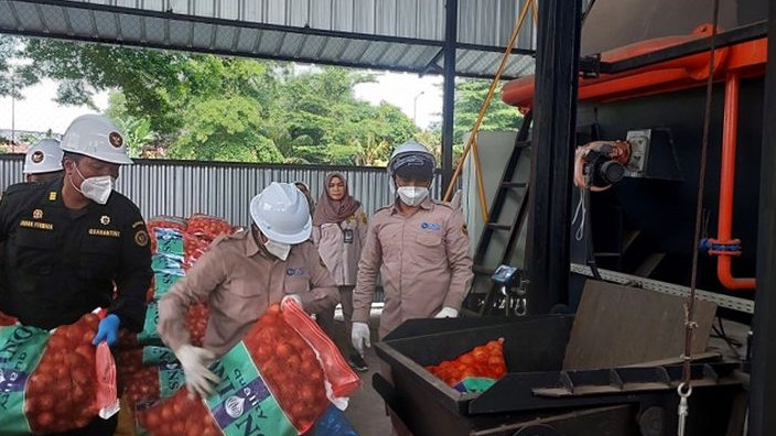 Barantin Musnahkan 86,4 Ton Bawang Bombay Belanda karena Terinfeksi Nematoda