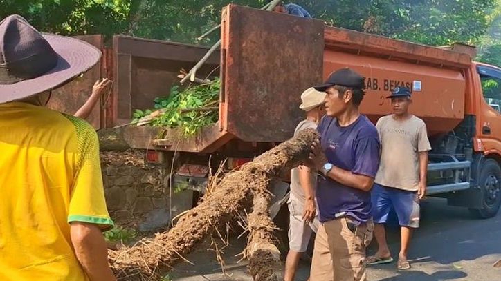 Kerja Bakti Rutin Desa Burangkeng: Pangkas Pohon dan Bersihkan Saluran Air di Jalan Cinyosog