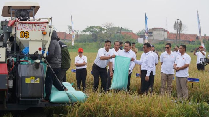 Kejagung Panen Raya Padi di Lahan Rampasan Kasus Benny Tjokro, Perkuat Ketahanan Pangan Nasional