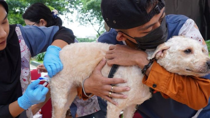 Ada Taman Bermain Khusus Hewan di Cikarang, Cek Lokasinya di Sini